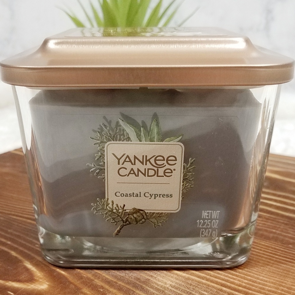 Elevation Yankee Candle ~Coastal Cypress 12.25 oz - Picture 3 of 8